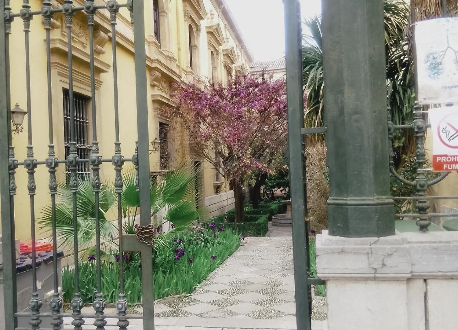 Apartamento Precioso Estudio En El Corazon De Granada
