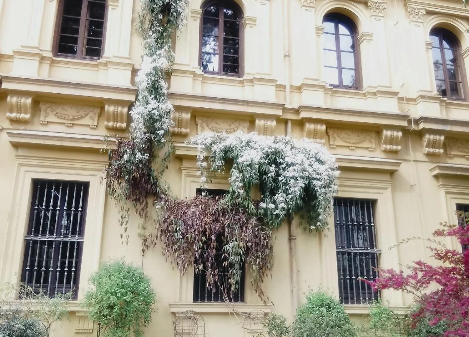 Precioso Estudio En El Corazon De Granada Apartment
